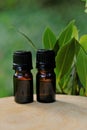 laurel oil.Bay leaf oil.Essential oil bottles . Laurel essential oil.Glass bottles set and laurel leaves on a green
