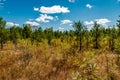 Laurentians parks and wildlife reserves