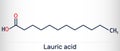 Lauric acid, dodecanoic acid, C12H24O2 molecule. It is a saturated fatty acid. Skeletal chemical formula Royalty Free Stock Photo