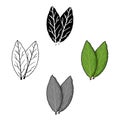 Laurus icon in cartoon style isolated on white background. Herb an spices symbol stock vector illustration.