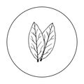 Laurus icon in outline style isolated on white background. Herb an spices symbol stock vector illustration.