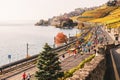 Lausanne area, Canton of Vaud, Switzerland- October 30, 2016: Runners in the Lausanne Marathon going through Lavaux vineyards Royalty Free Stock Photo