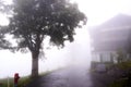 Lauterbrunnen mountain Switzerland