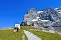 Eigergletscher railway station , Jungfrau Railway in Switzerland Royalty Free Stock Photo