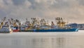 Lauwersoog harbour fishing fleet Royalty Free Stock Photo