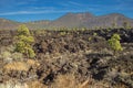 Lava Bed at Sunset Crater Volcano National Monument, Arizona Royalty Free Stock Photo