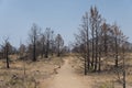 Lava Beds National Monument - Trail Royalty Free Stock Photo