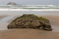 Lava boulder on Muriwai beach Royalty Free Stock Photo