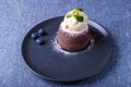 Lava cake - chocolate fondant cake with vanilla ice cream, blueberries and mint. Traditional French pastries. Close-up Royalty Free Stock Photo
