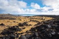 Lava Field by the Ocean in Iceland on a Misty Fall Day