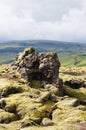 Lava field covered with green moss,Iceland. Royalty Free Stock Photo