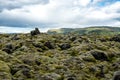 Lava field covered with green moss, Iceland Royalty Free Stock Photo