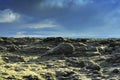 Lava field at Eldhraun Royalty Free Stock Photo