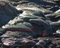 Lava Flow Royalty Free Stock Photo