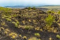 A lava flow is clearly visible under the sparse new vegetation on Mount Etna, Sicily Royalty Free Stock Photo