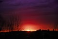 Suggestive sunrise with intense colors with silhouette of tree and building