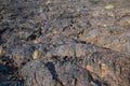 Lava flow field in Craters of the Moon National Monument, Idaho, USA Royalty Free Stock Photo