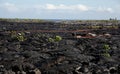 Lava flow field near Kalapana