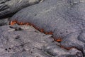 Lava flowing near Puuoo Crater Big Island Hawaii Royalty Free Stock Photo