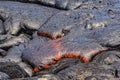 Lava flowing near Puuoo Crater Big Island Hawaii