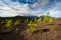 Lava landscape on the Cumbre Nueva in La Palma Royalty Free Stock Photo