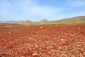 Lava landscape with volcanos and craters on spanish island lanzarote