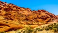 Lava-like Red Rocks in Red Rock Canyon National Conservation Area near Las Vegas, Nevada, USA Royalty Free Stock Photo