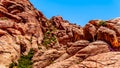 Lava-like Red Rocks in Red Rock Canyon National Conservation Area near Las Vegas, Nevada, USA Royalty Free Stock Photo