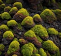 Lava Moss Travel Iceland Background