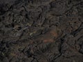 Lava patterns close to Erta Ale volcano, Ethiopia