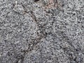 Lava rock close-up Royalty Free Stock Photo