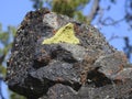 Lava rock, Craters of the Moon National Monument and Preserve, Idaho, USA Royalty Free Stock Photo