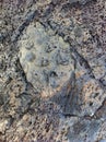 Lava rock faces. Mineral textures in nature Royalty Free Stock Photo