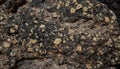 Lava rock feldspars detail on Etna Volcano Royalty Free Stock Photo