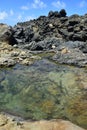 Lava Rock Natural Pool Along the Coast of Aruba Royalty Free Stock Photo