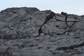 Lava Rocks Next To Erupting Volcano.