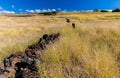 Lava Stone Fence Leading Uphill to Pu\'ukohola Heiau