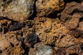 Lava stone wall texture rock pumice Royalty Free Stock Photo