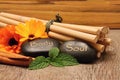 Lava stones and bamboo Royalty Free Stock Photo