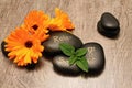 Lava stones and marigold Royalty Free Stock Photo