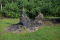 Lava Tree State Monument Royalty Free Stock Photo