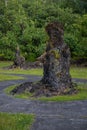 Lava Tree State Monument Royalty Free Stock Photo