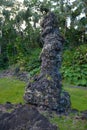 Lava Tree State Monument Royalty Free Stock Photo