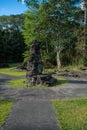 Lava Tree State Monument Royalty Free Stock Photo