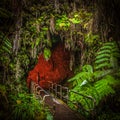 Lava tunnel entrance hot tropical plants nature