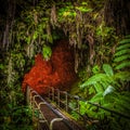 Lava tunnel entrance park volcano