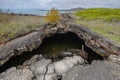 Lava Tunnel, Isabela island, Ecuador