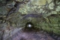 Lava tunnel near the Caldeira on the island Graciosa, Azores