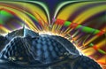 Lava - Unique Rainbow Sky - 3D Illustration - Fractal Art - Backrop Royalty Free Stock Photo