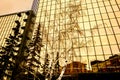 Relexion of trees and buildinds in the Tours Triomphe I building Center City Laval  Quebec Royalty Free Stock Photo